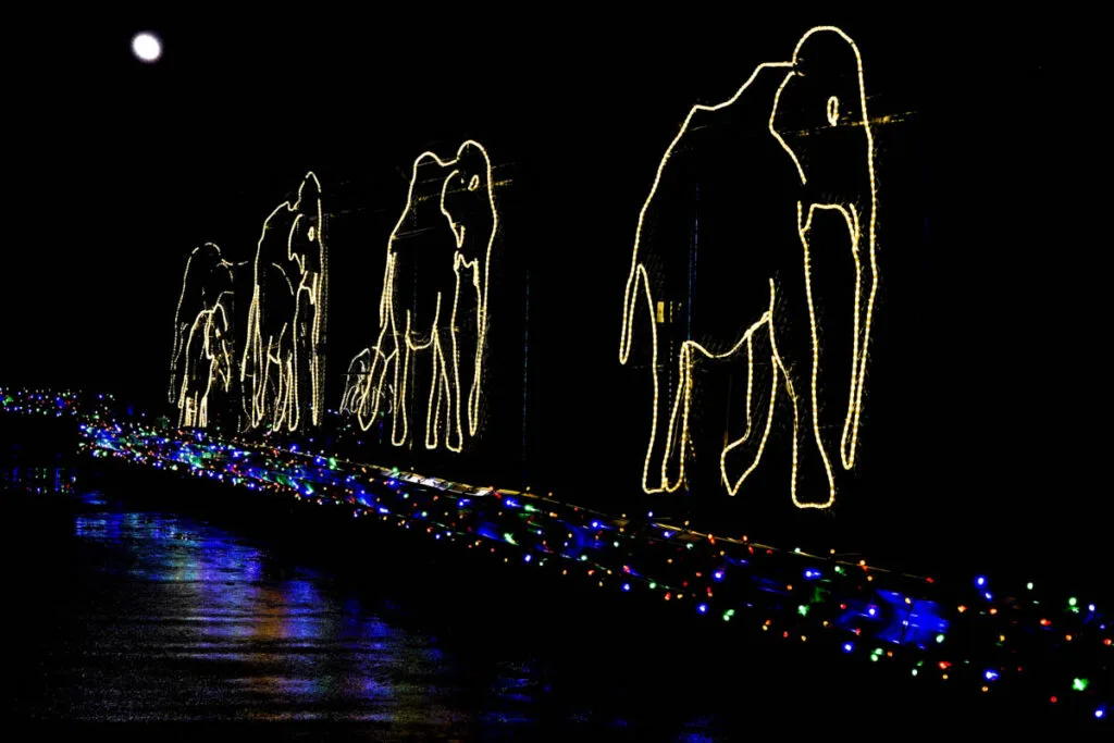 Christmas lights depicting elephants