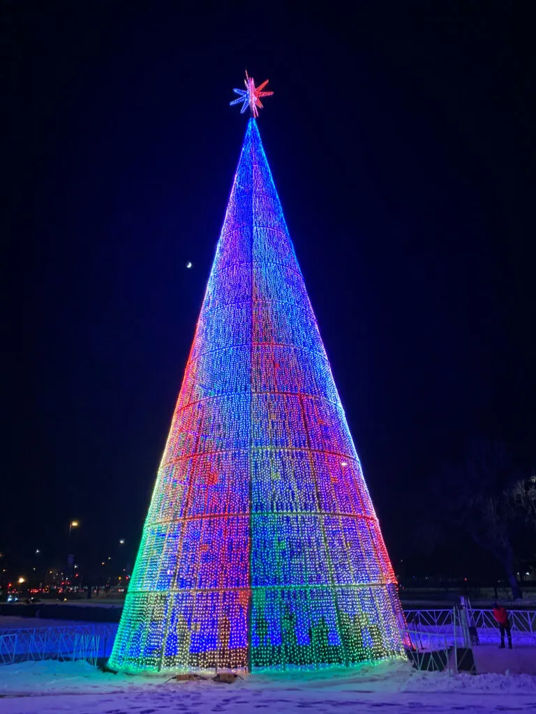 The amazing Mile High Tree in Denver