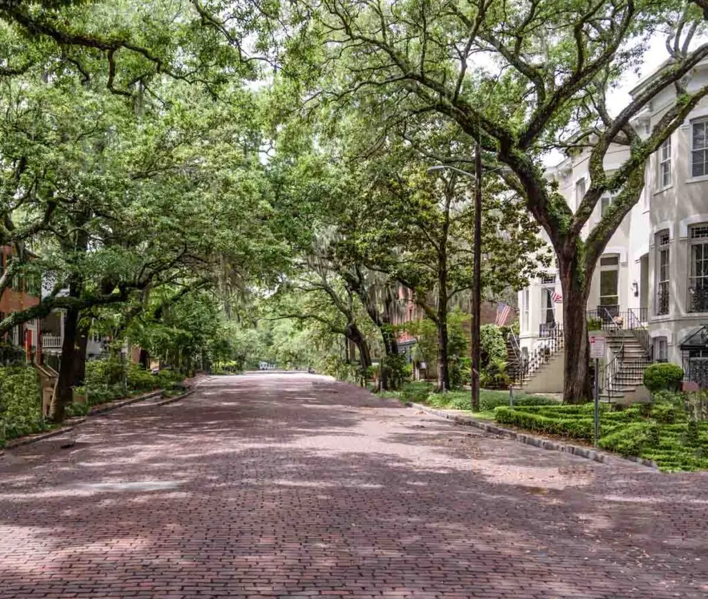 one of the best attractions to go to when spending Christmas in Savannah is Jones Street