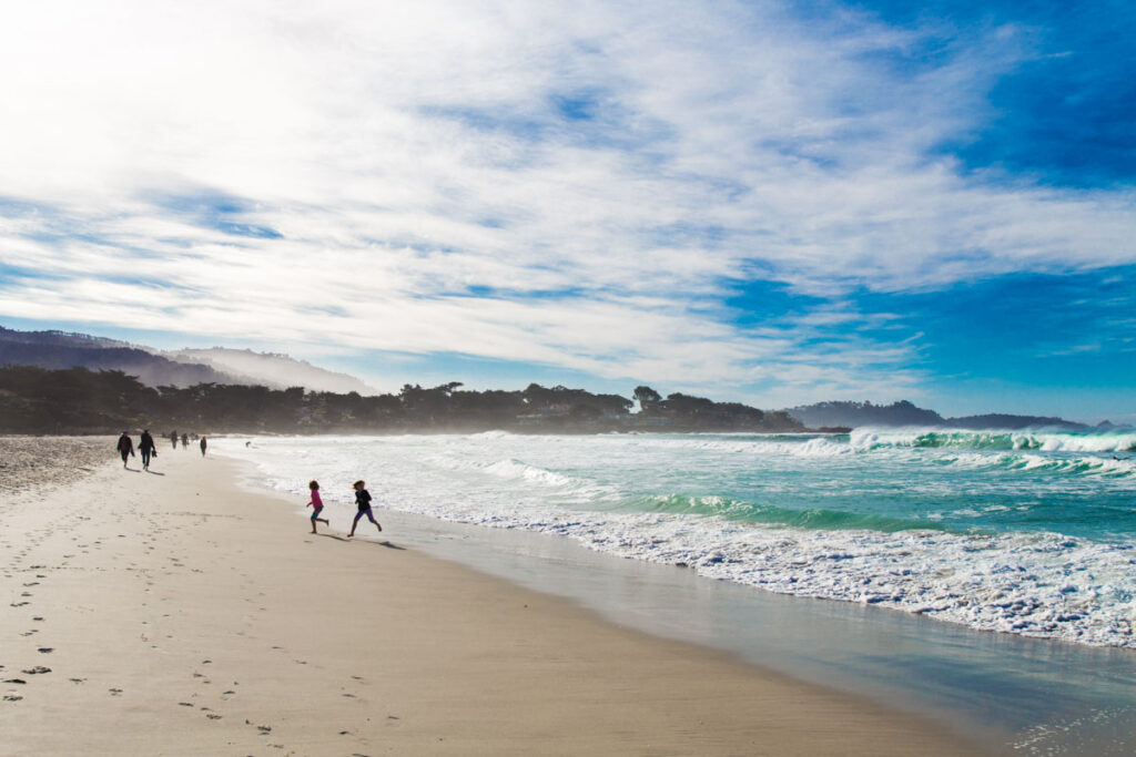 Carmel Beach is one of the best West Coast beaches for pet owners