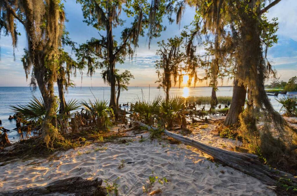 Fontainebleau State Park is one of the best Louisiana State Parks for a fun-filled weekend