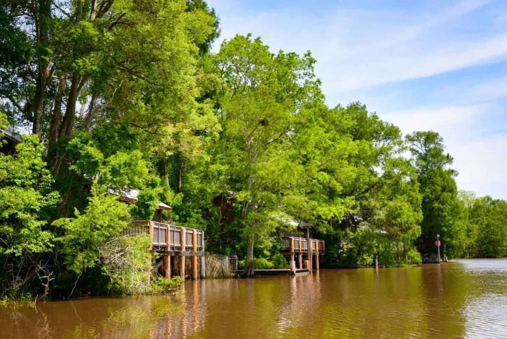 The historic Lake Fausse Pointe State Park is one of the incredible state parks in Louisiana to spend a fun weekend