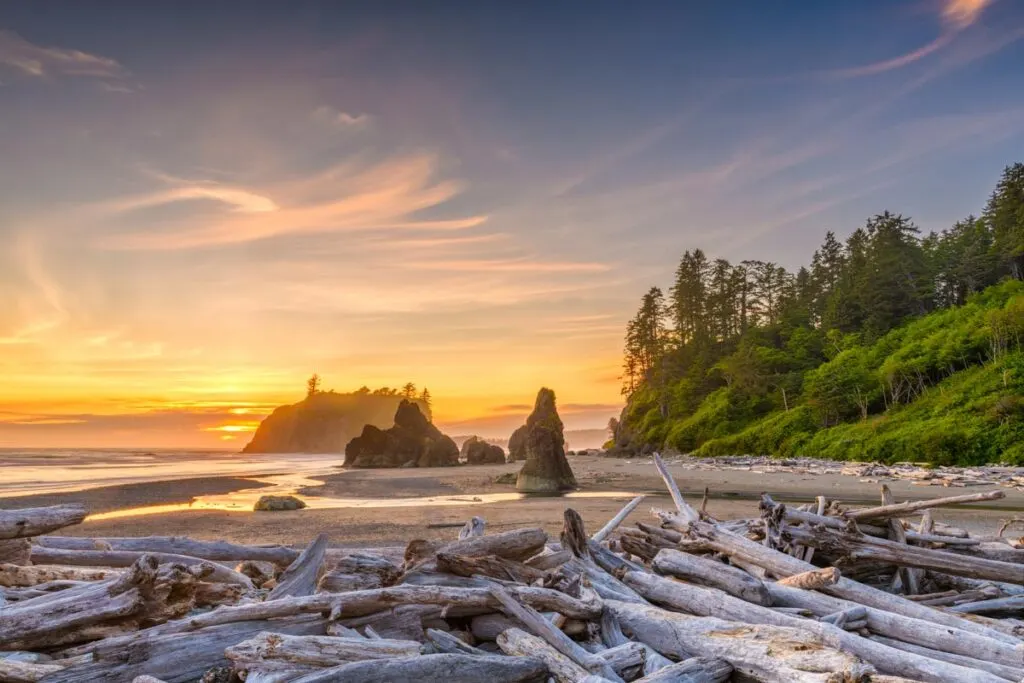 Another amazing beach on the West Coast is Ruby Beach in Washington