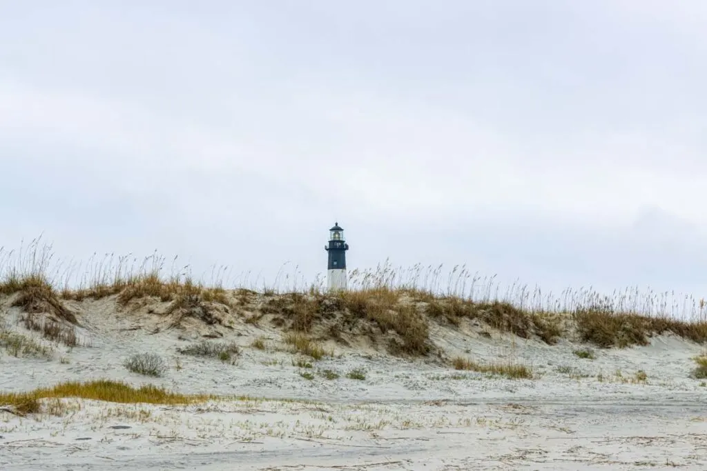 Dunes on North Beach With Historic Tybee Island Light Station, Georgia