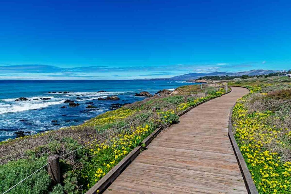The boardwalk, on Moonstone Beach, California