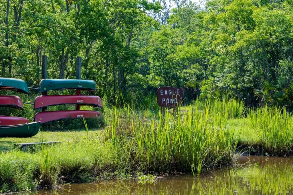 Palmetto Island State Park is a relatively new Louisiana State Park that lies on the banks of the Vermilion River