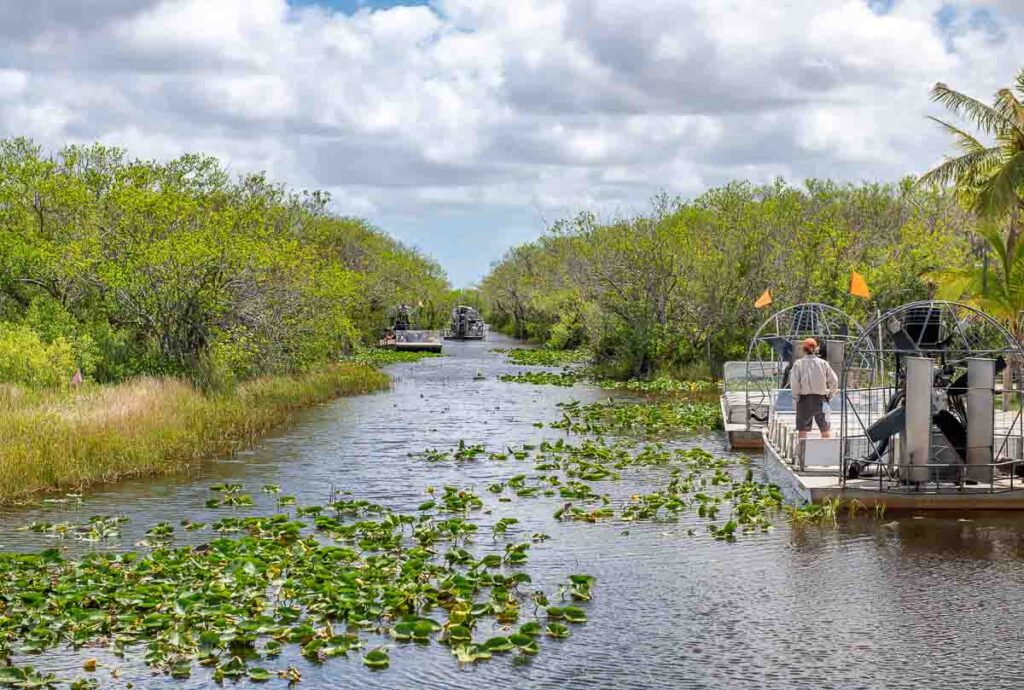 Awesome airboat tour along the Everglades National Park in Florida