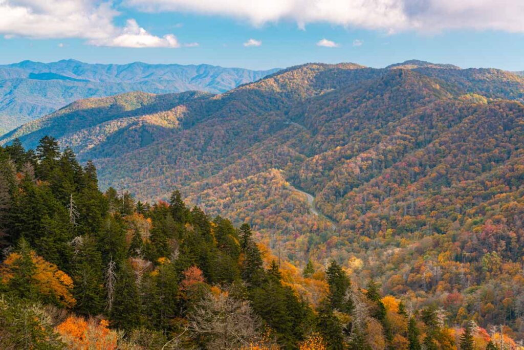 Amazing forest views of the Great Smoky Mountains in Asheville, North Carolina