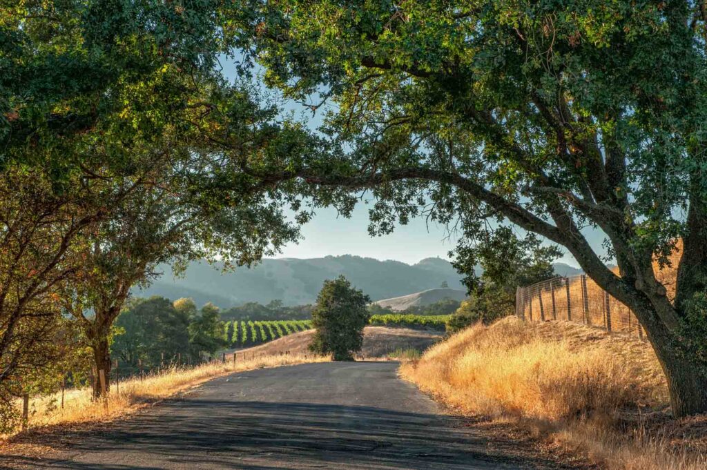 Roadtrip in Sonoma County wine country, California