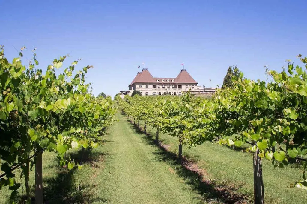 Chateau Elan Winery & Resort is a perfect romantic getaway for couples who love wine